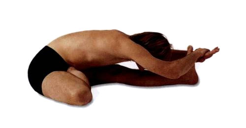 瑜伽体式-头碰膝前曲伸展式C