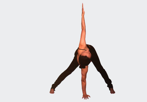 瑜伽体式-分腿脊柱扭转式