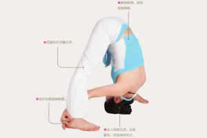 瑜伽体式-单腿脊柱前屈伸展式
